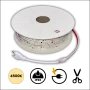 Ruban LED extérieur IP65 4500K