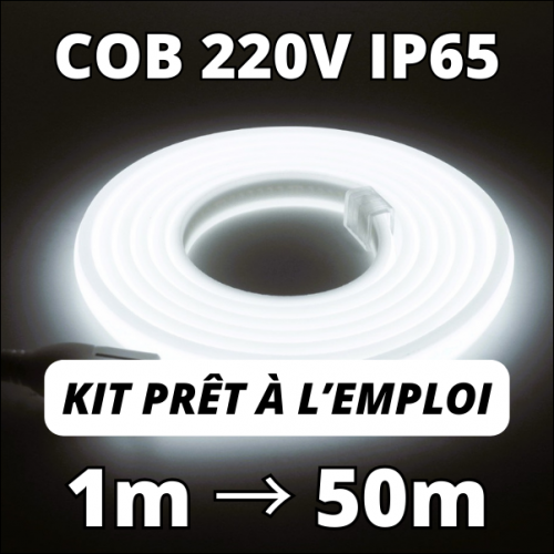 Ruban LED COB 220V : une solution d'éclairage puissante et polyvalente pour  touts les projets