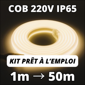 EVELFR Ruban LED Néon, COB LED Bande Lumineuse, 220V Flexible Néon