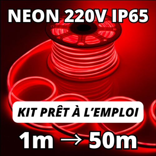 Bande LED néon flexible 12V Rouge 6M