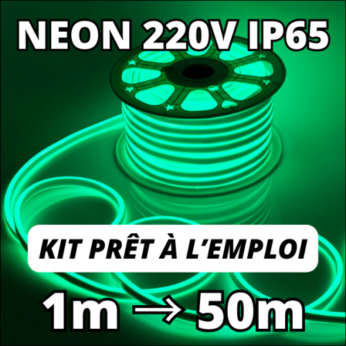Ruban LED NEON 2 m LED/14W/12V IP65 vert