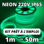 Kit néon flexible vert