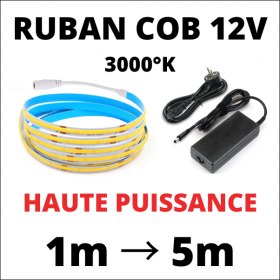 Ruban LED 12v 60LED/M 3000K Blanc chaud 12w/m Etanche IP64 5m