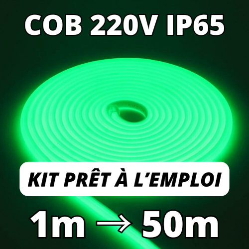 Ruban LED COB vert kit 220v complet